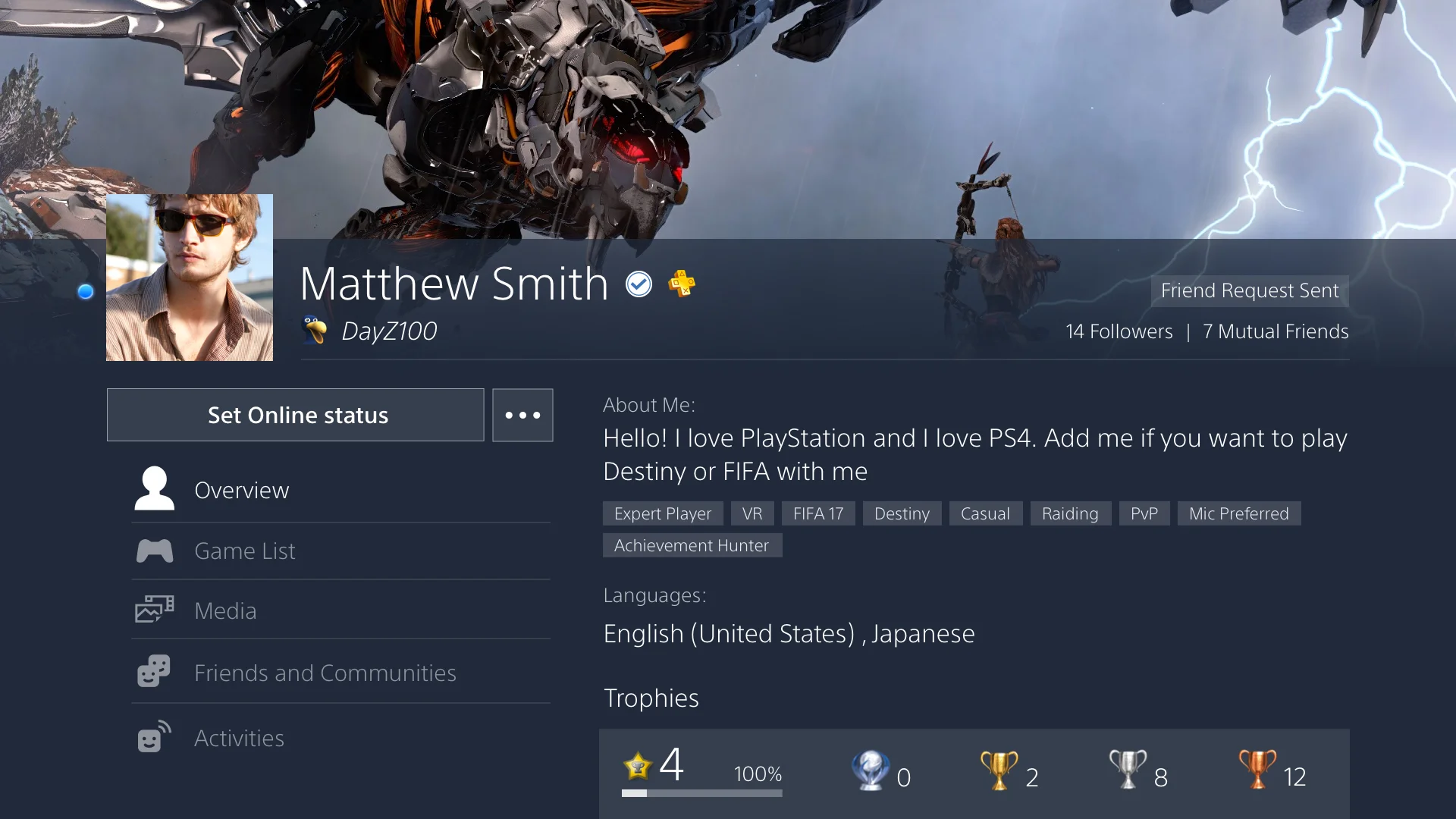 Player Rich Profile showing Labels as personal tags